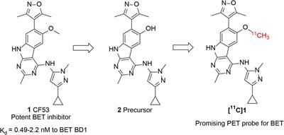 Development of a Novel Positron Emission Tomography (PET) Radiotracer Targeting Bromodomain and Extra-Terminal Domain (BET) Family Proteins